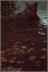 John Seerey-Lester - Night Specter