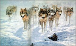 John Seerey-Lester - Out of the Blizzard