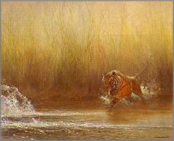 John Seerey-Lester - Ranthambore Rush