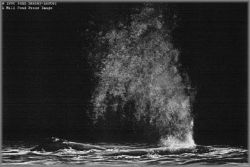 John Seerey-Lester - Spout