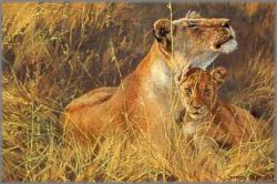 John Seerey-Lester - Togetherness