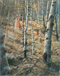 John Seerey-Lester - Whitetail Spring