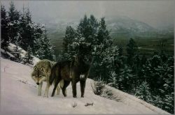 Daniel Smith - High Ridge