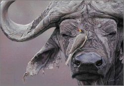 Daniel Smith - In Your Face