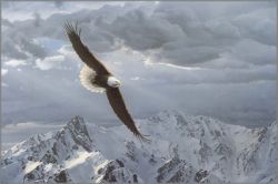 Daniel Smith - Sacred Heights