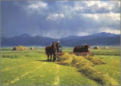 Tucker Smith - Buck Rake