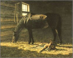 Tucker Smith - Foal