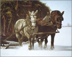 Tucker Smith - Haysled