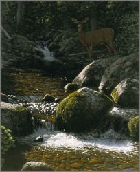 Tucker Smith - McClellan Creek