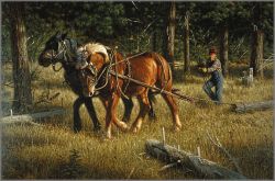 Tucker Smith - Skidding Logs