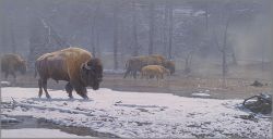 Daniel Smith - Ethereal Mist