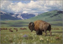 Tucker Smith - Return of Summer