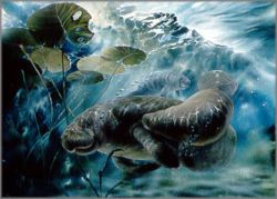 Linda Thompson - Gentle Giants