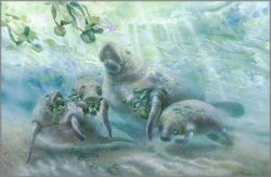 Linda Thompson - Lunch Bunch