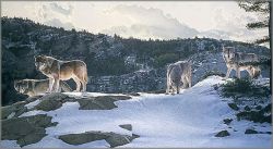 Brent Townsend - Open Ridge