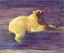 Ezra Tucker - At Lands End