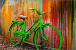 Todd Van Fleet - Go Green