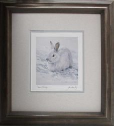 Jon VanZyle - Snow Bunny