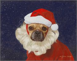 John Weiss - Cami Claus