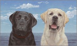 John Weiss - Ebony and Ivory* John Weiss - Ebony and Ivory*