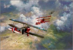 Frank Wootton - Last Combat of the Red Baron